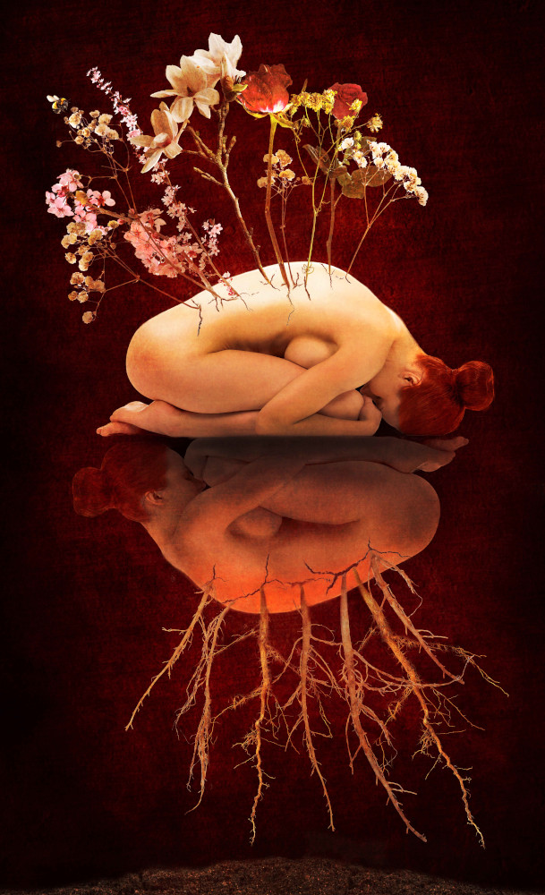 A woman is curled in a fetal position against a red background, sprouting flowers above she is reflected with withered roots below, symbolizing growth and connection to nature.